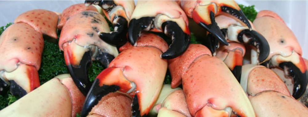 stone-crabs-seafood-market1-1000x380xc.jpg