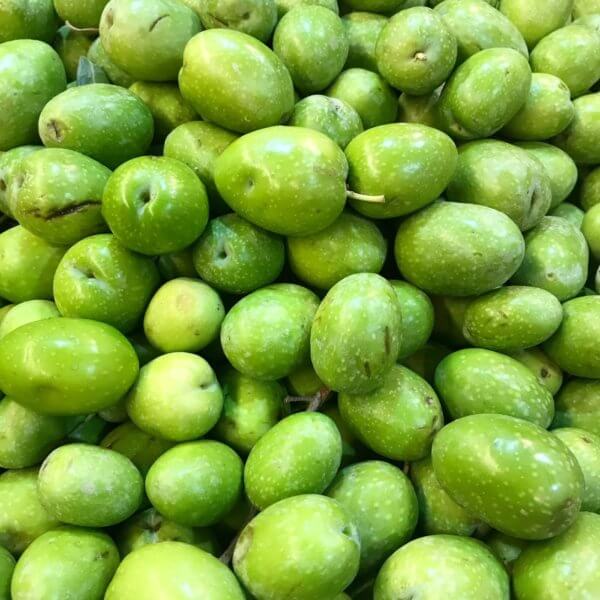 Fresh Olives 1 lb package - Doris Market