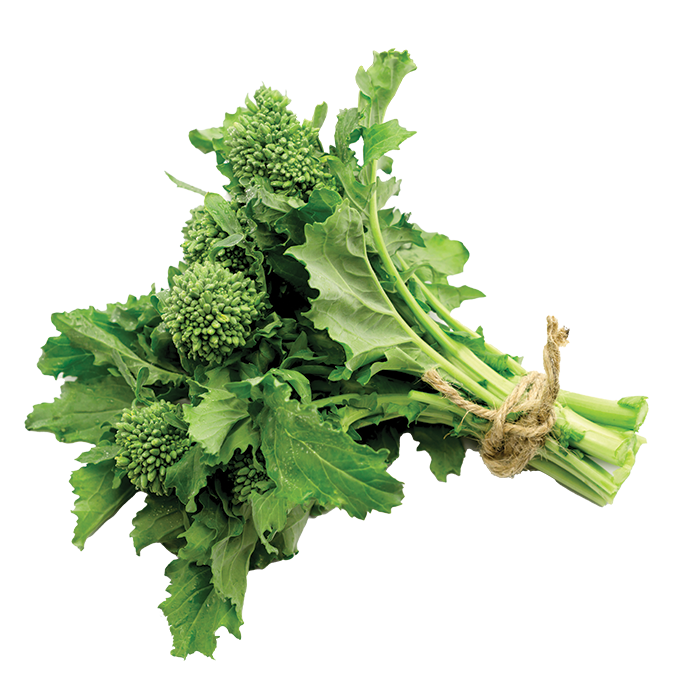 https://dorismarket.com/wp-content/uploads/2024/11/Broccoli-Rabe.png