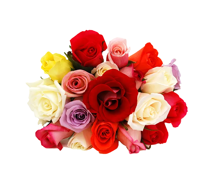 https://dorismarket.com/wp-content/uploads/2025/05/assorted-roses-png.webp https://dorismarket.com/wp-content/uploads/2025/05/assorted-roses-png.webp