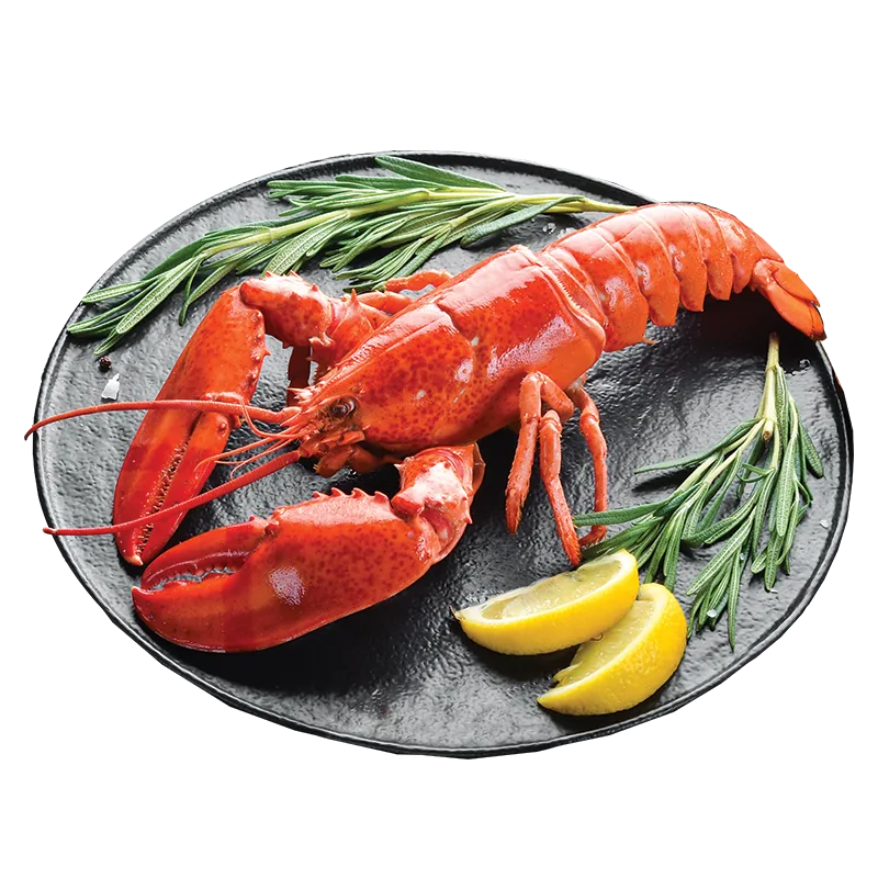 https://dorismarket.com/wp-content/uploads/2025/06/Lobster-png.webp https://dorismarket.com/wp-content/uploads/2025/06/Lobster-png.webp