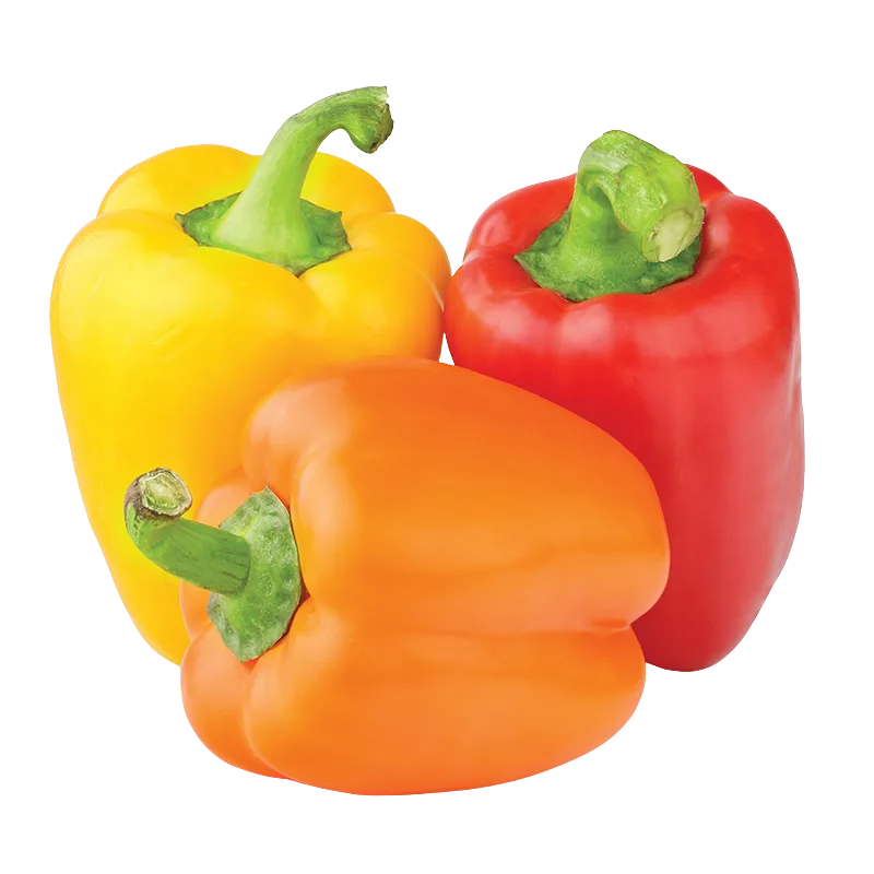 https://dorismarket.com/wp-content/uploads/2025/09/797d2cae-32f0-4ac7-8d7c-fe298ac91dac.webp