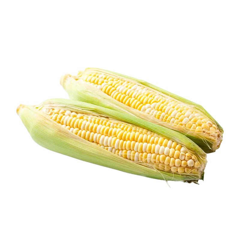 https://dorismarket.com/wp-content/uploads/2025/10/Bicolor-corn.webp