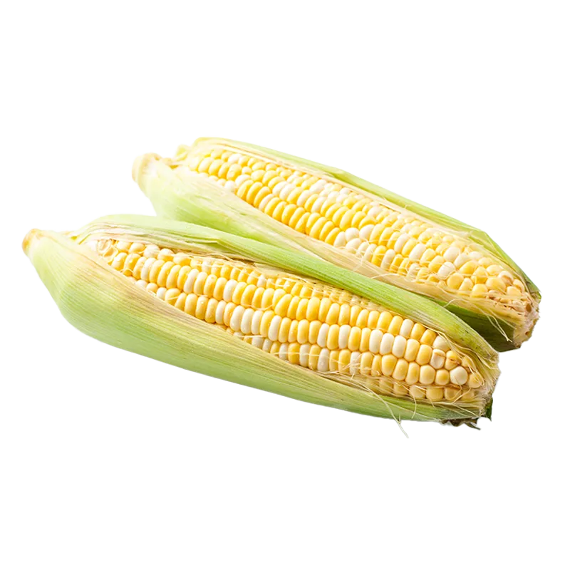 https://dorismarket.com/wp-content/uploads/2025/11/Bicolor-Corn.webp