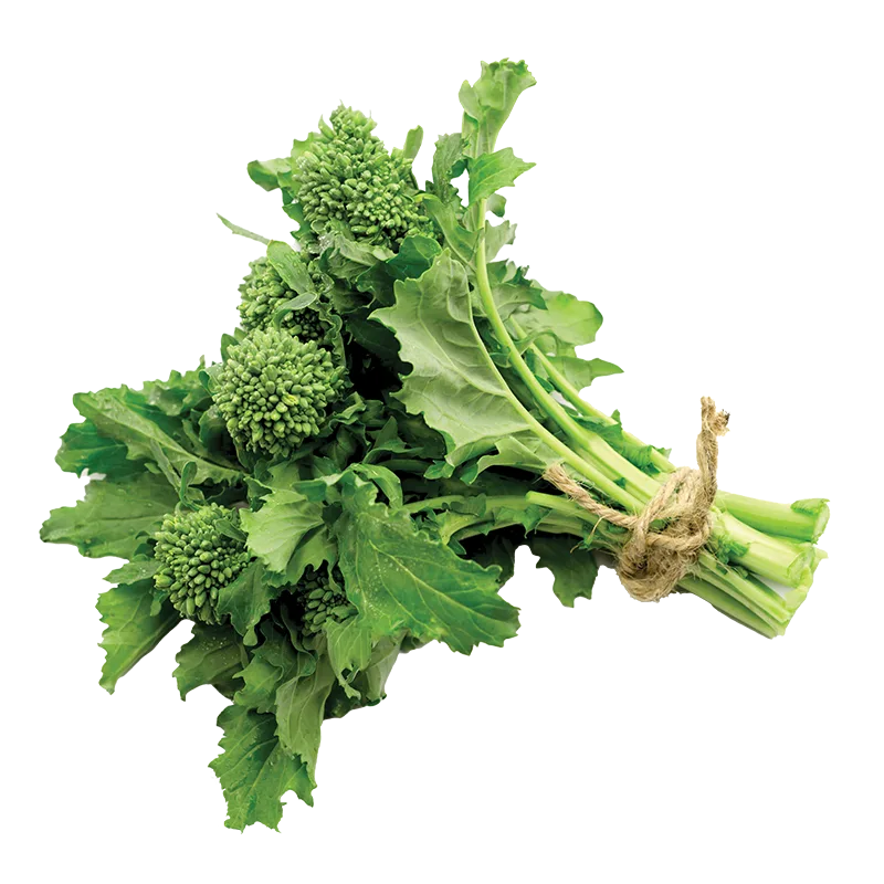 https://dorismarket.com/wp-content/uploads/2025/12/broccoli-rabe.webp