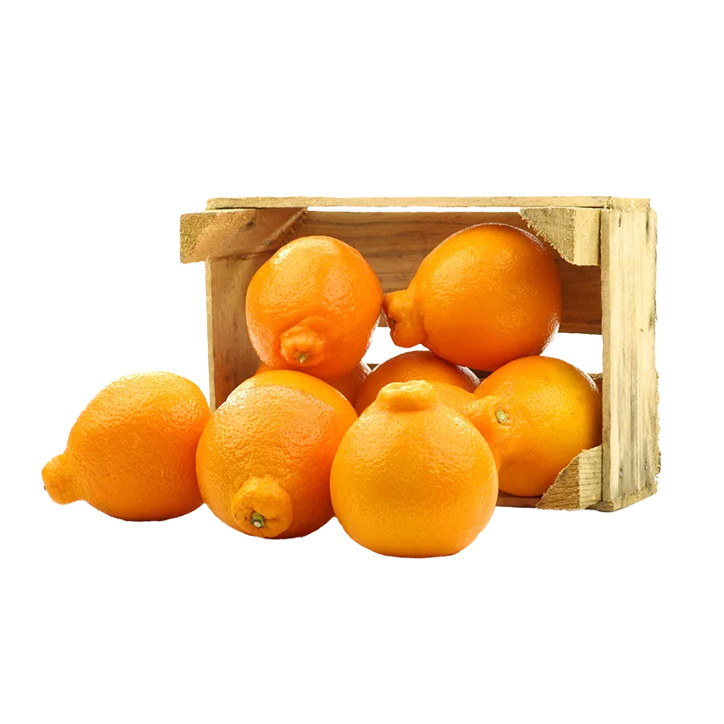 https://dorismarket.com/wp-content/uploads/2026/01/honeybells.webp
