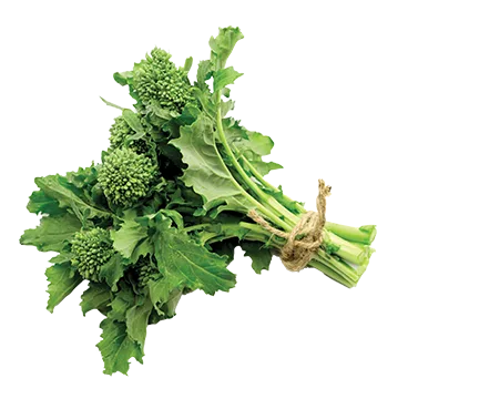 BROCCOLI RABE