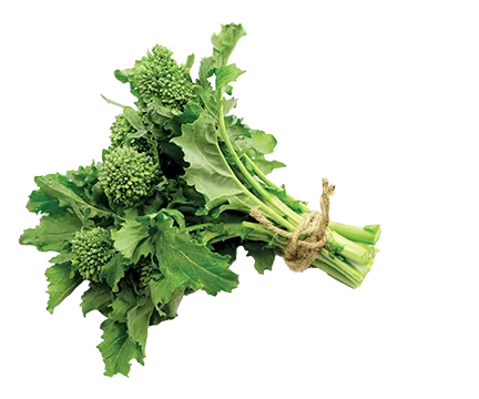BROCCOLI RABE