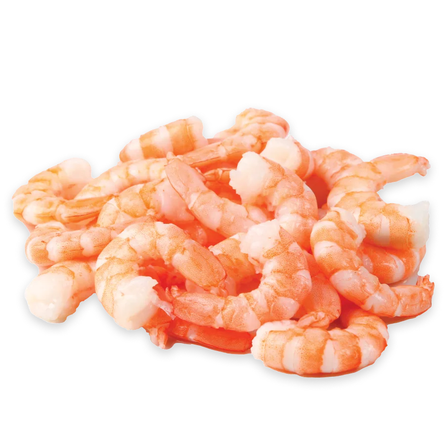 LARGE SHRIMP 