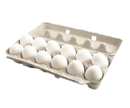 JUMBO EGGS