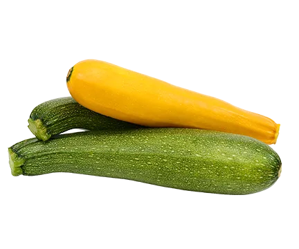 ZUCCHINI or YELLOW SQUASH 