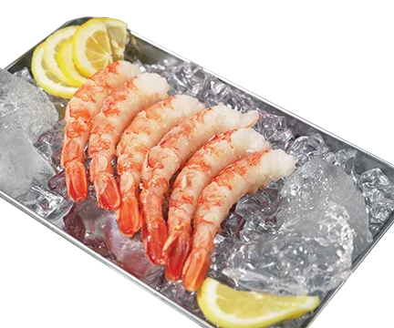 RED SHRIMP