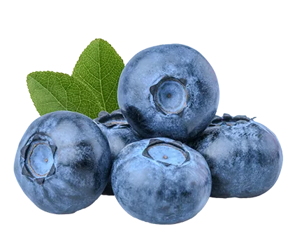BLUEBERRIES