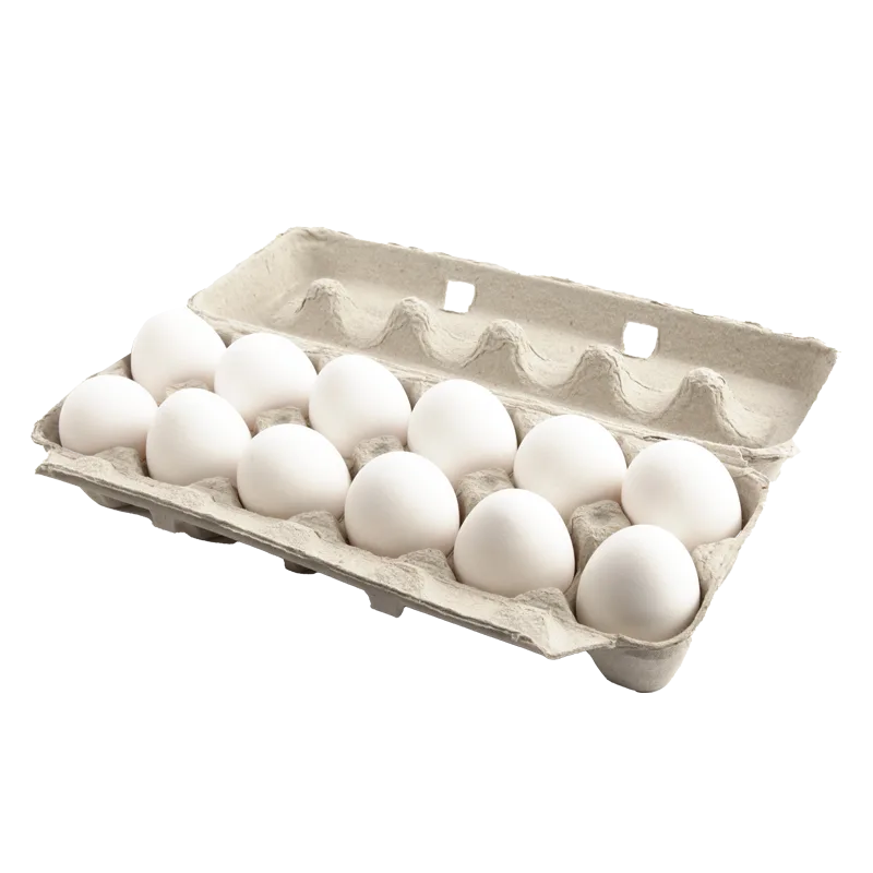 https://dorismarket.com/wp-content/uploads/2026/05/Eggs.webp