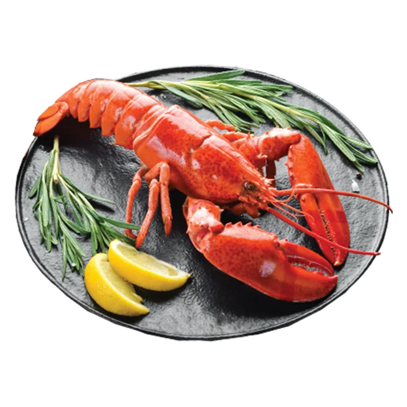 https://dorismarket.com/wp-content/uploads/2026/05/Lobster-1.webp