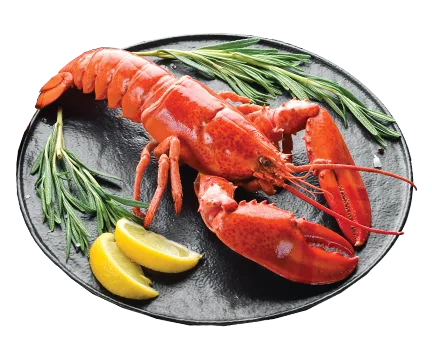 LOBSTERS