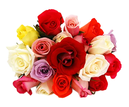 ASSORTED ROSES