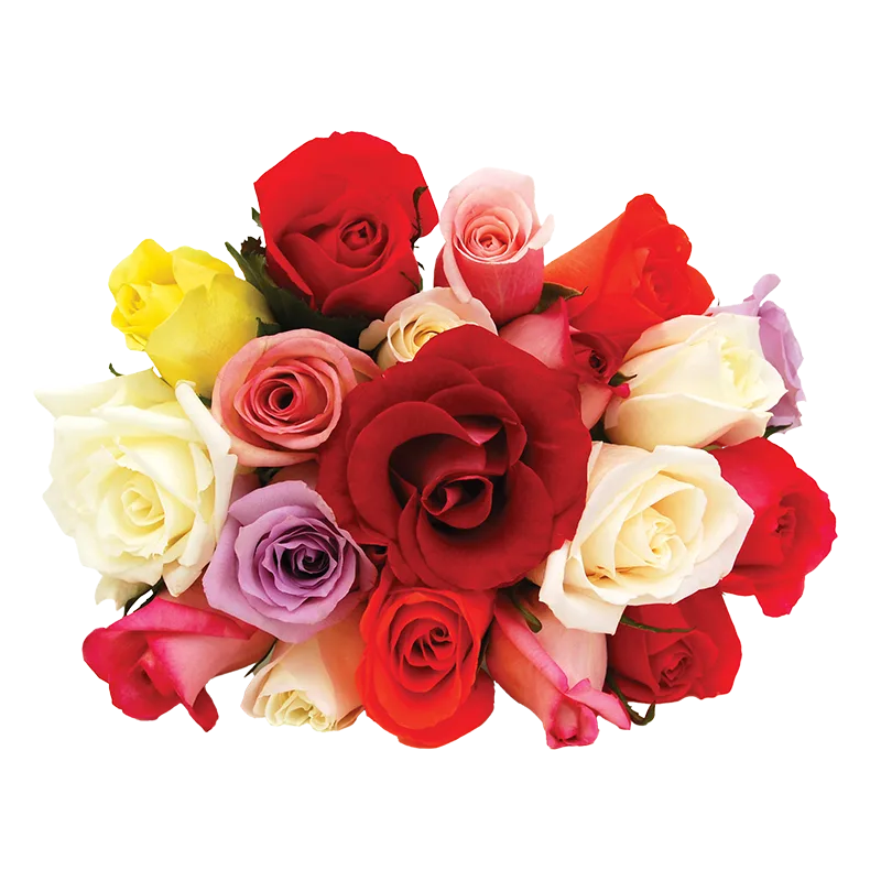 https://dorismarket.com/wp-content/uploads/2026/05/assorted-roses.webp