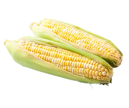 BI COLOR CORN