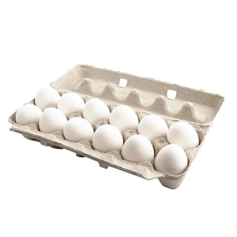https://dorismarket.com/wp-content/uploads/2026/09/EGGS-1.webp