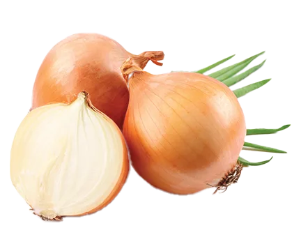 ONIONS